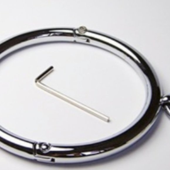 Stainless Steel Collar - New in bag - Picture 3 of 3